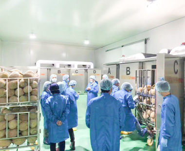 Lắp Đặt - Thi Công Hệ Thống Cơ Điện