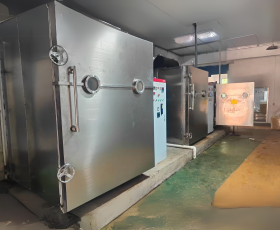 Thiết bị sấy đông lạnh 2