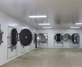 Thiết bị sấy đông lạnh 1
